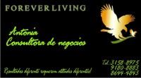 /album/galeria-de-fotos/cart%c3%a3o%20forever%20living-jpg/